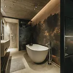 The Black Eagle Luxury 4* Майрхофен